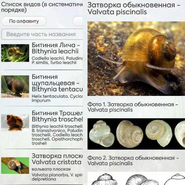 Водные беспозвоночные ПРО 1.0.2