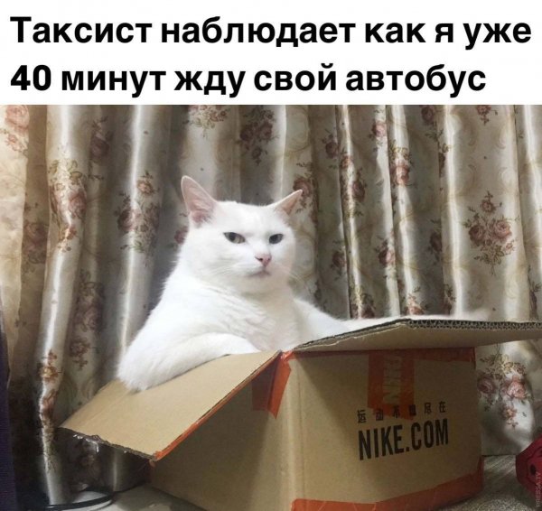 IMG 20260906 235730 494