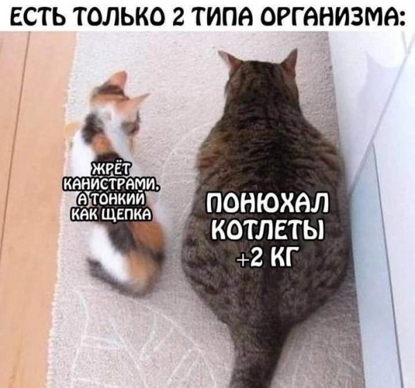 FB IMG 1727281500204