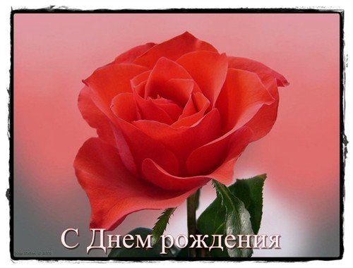 file_81228196