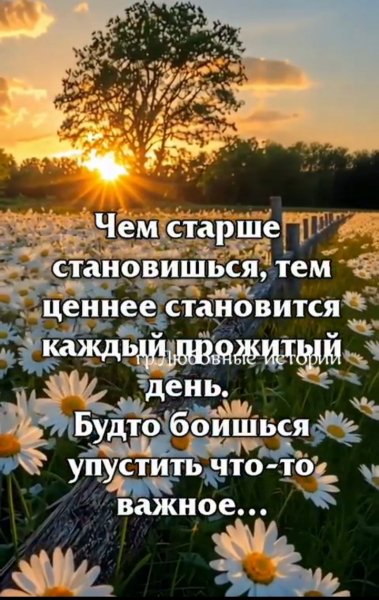 IMG 20250729 001341