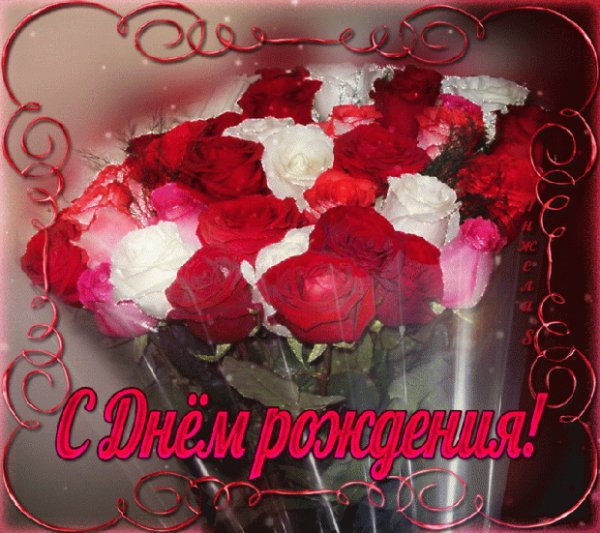 file_81287129