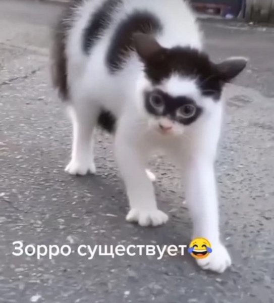 FB IMG 1766430931485
