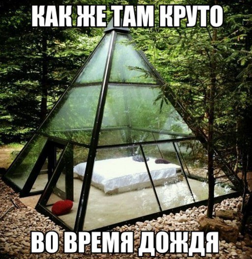 smeshnye-kartinki-s-nadpisyami-29