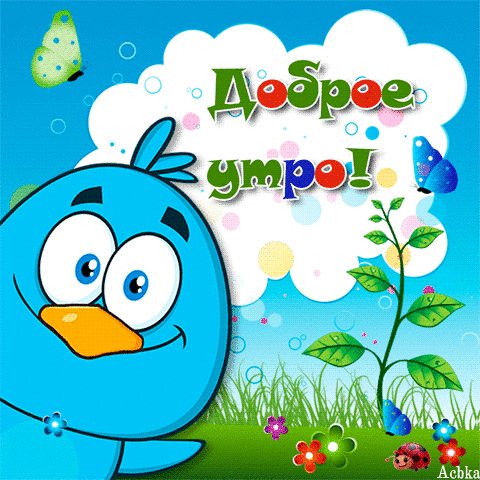 file_82826848