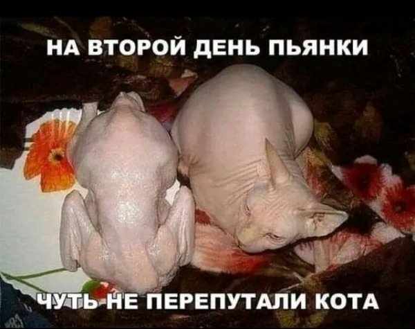file_103013783