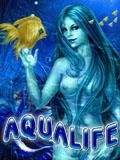 Aqua Life Nok240x320