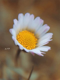 file_51712571