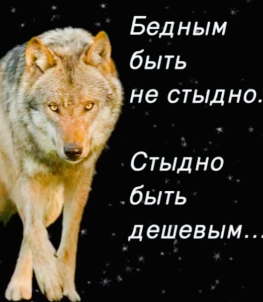 IMG 20260723 133851