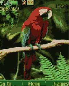 parrot