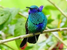Images (11)