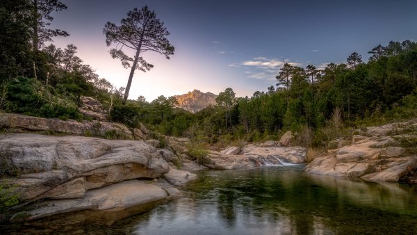 file_93886962