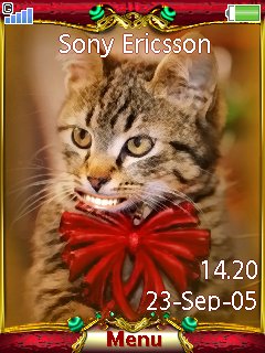 Funny cat