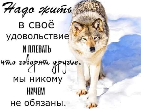 Надо жить