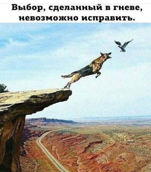 d697236c1cb8a499cc19a70afb4f0