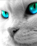 file_46684580