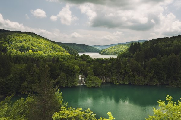 Croatia Parks Forests 491943