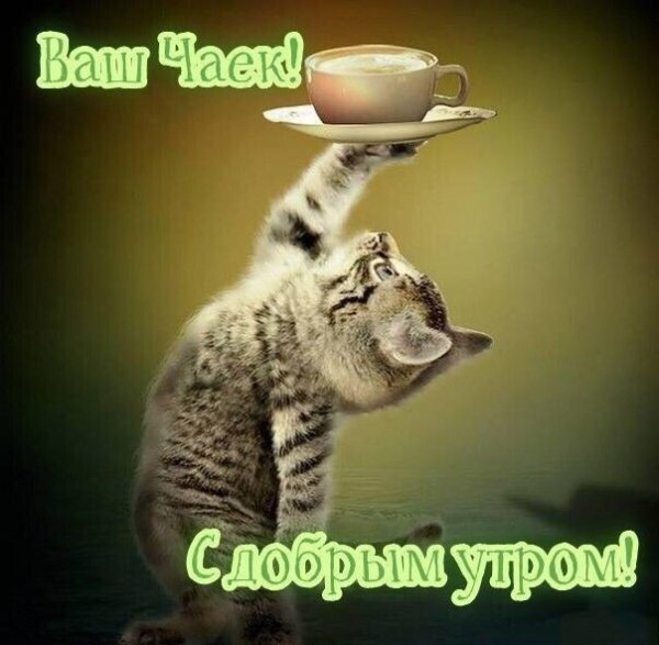 file_92119212