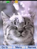 cat-snow-by-ircha84