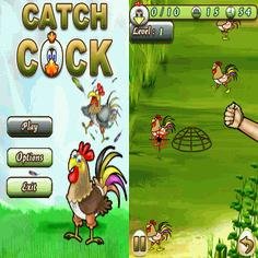 Catch Cock 240x400