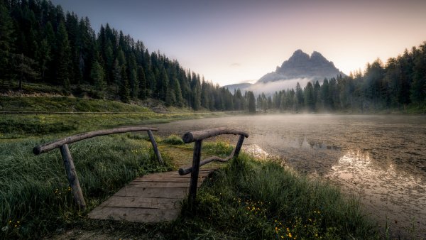 file_94893526