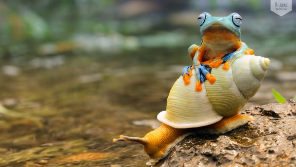 Images-2016-07-28