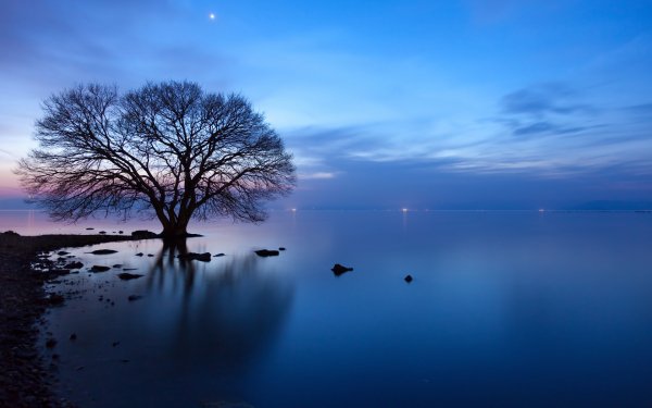 Japanese Landscapes 3