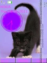 black-cat