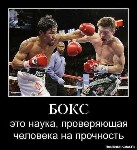 Азбука бокса
