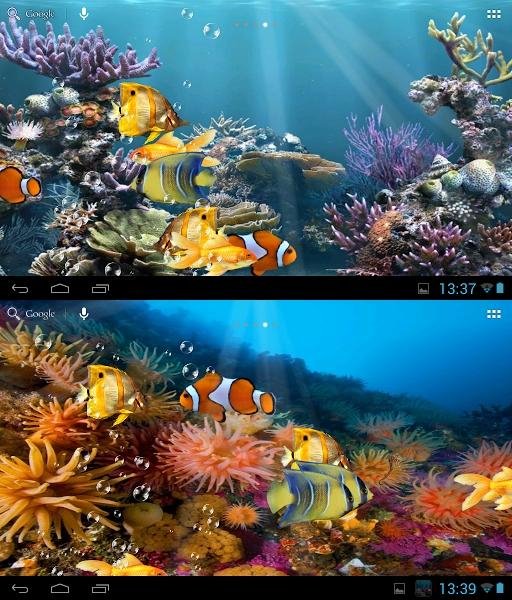 Ocean aquarium