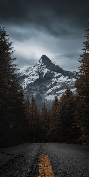 file_103274974