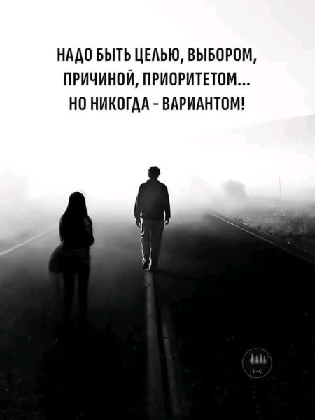 file_101574955