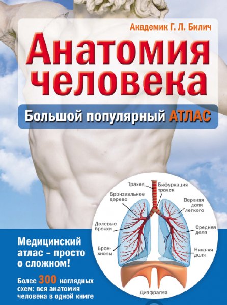 Габриэль Билич - Анатомия человека. Боль