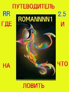 POMA.RR2.5PUT