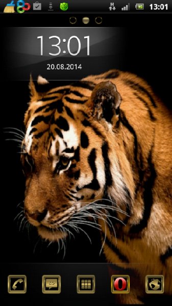 bengaltige tjwRElvJ
