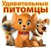 Мой питомец 3.7 SD