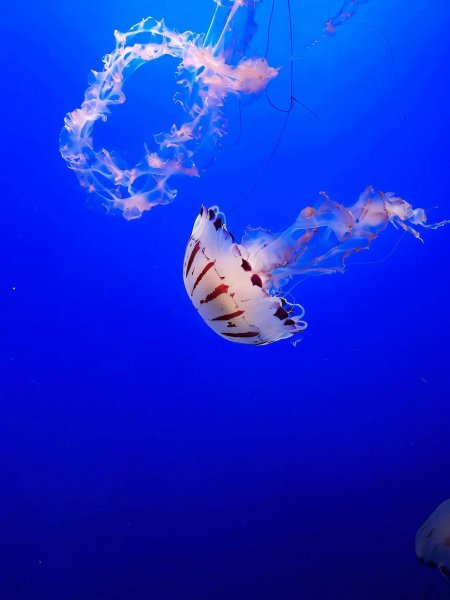 file_101813561