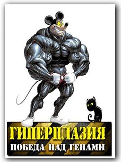 Гиперплазия. Победа над генами