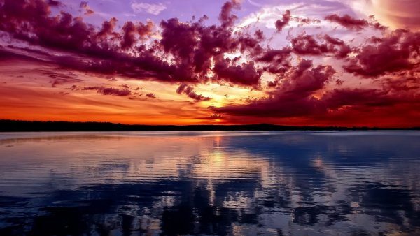 file_67786730