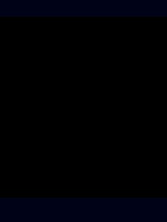 Pro (1)