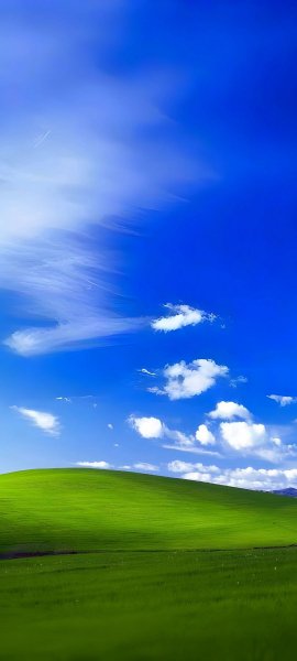 adapted 1080x2400 1750155198