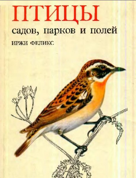 птицы садов, парков и полей
