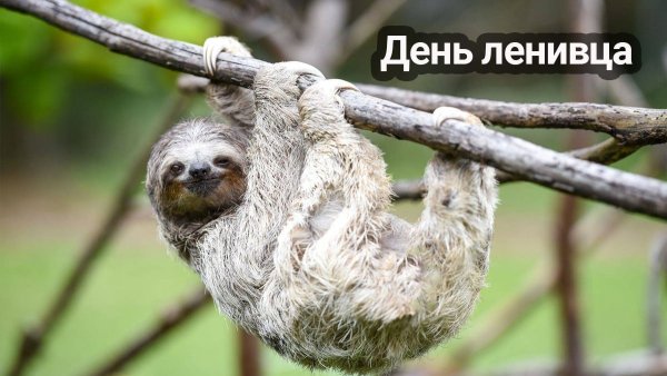 IMG 20231020 170505 208