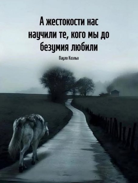 FB IMG 1767071134444