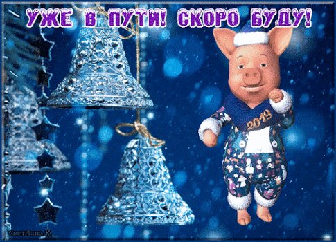 t8bb0j08vt9s48w