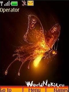 butterfly