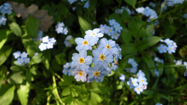 file_91307040