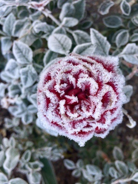 file_94874981