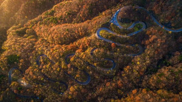 IrohazakaAutumn ROW7825970008 UHD