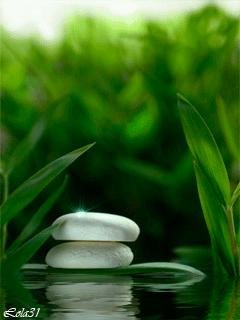 Beautiful Nature